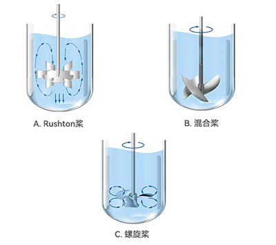 羞羞视频在线观看羞羞视频大全不同類型槳葉